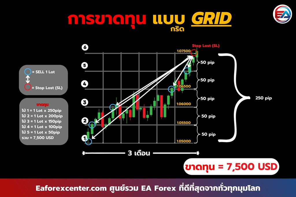 EA ประเภท GRID คือ - EaForexCenter