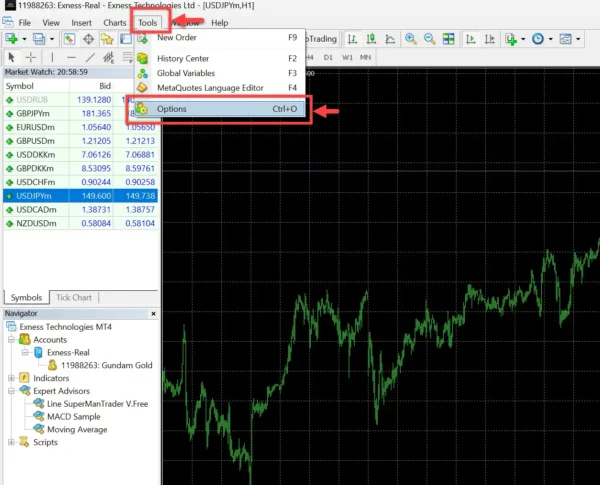 Figure 11: How to access MT4 Options