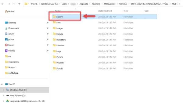 Figure 7: Location of Experts folder