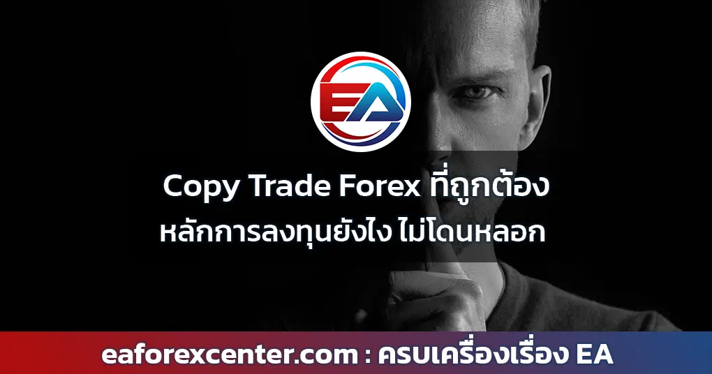 Copy Trade Forex