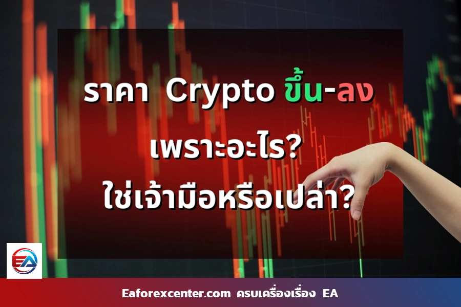 ราคา Bitcoin ขึ้นลงเพราะอะไร ใช่เจ้ามือหรือเปล่า?